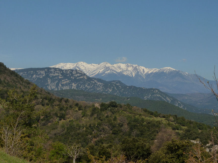 canigo-3