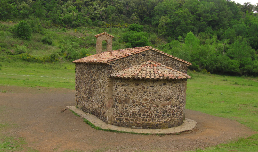 margarida