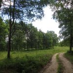 ESTEVE-BAS-SALUT-FOTO