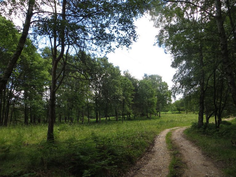 ESTEVE-BAS-SALUT-FOTO