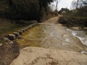 PERE-TORELLO-VIDRA-foto-2