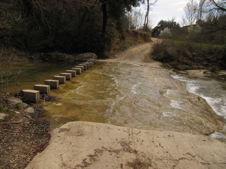 PERE-TORELLO-VIDRA-foto-2