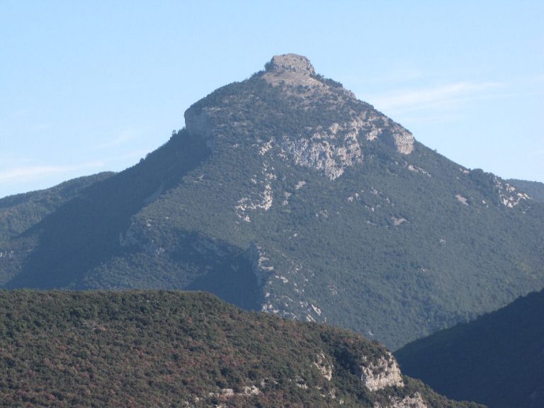 camporiol-barbara-foto