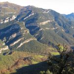 directo-bestraca-foto