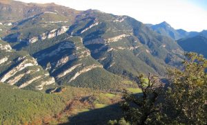 directo-bestraca-foto