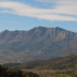 esteve-bas-pallerols-foto