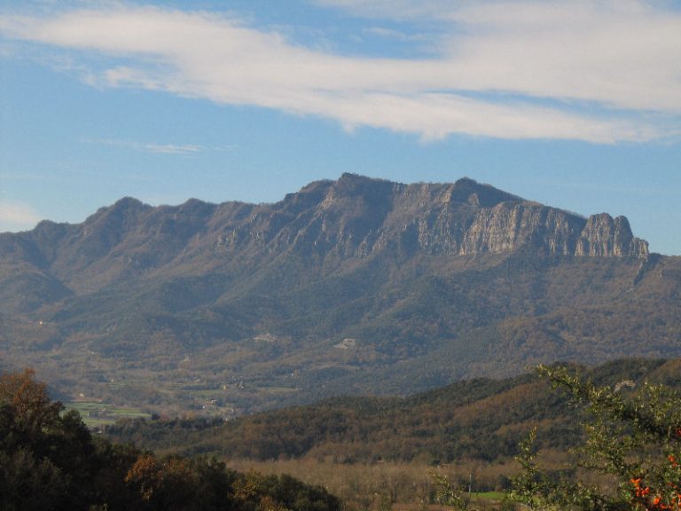 esteve-bas-pallerols-foto