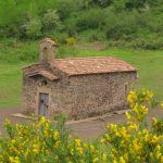 fageda.sta-margarida. foto