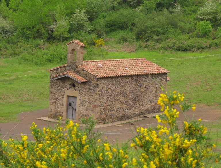 fageda.sta-margarida. foto