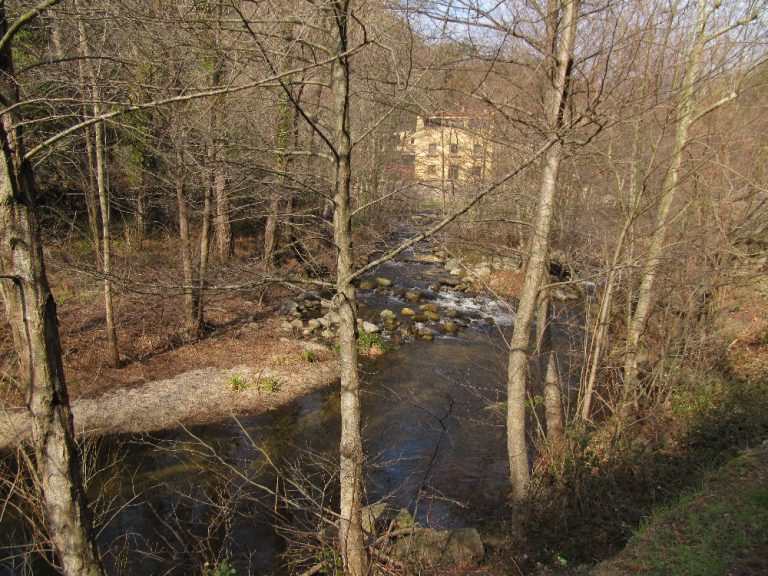 AGULLANA-LLOPMAS-FOTO