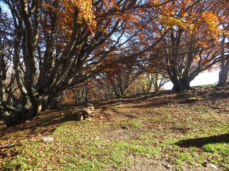 requesens-puigneulos-foto