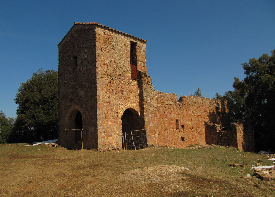 satrapa-julia-foto