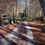 2016-11-25-rodando-garrotxa-2-foto