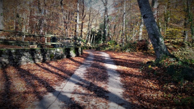 2016-11-25-rodando-garrotxa-2-foto