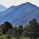 rocabruna-m0ntfalgars-foto