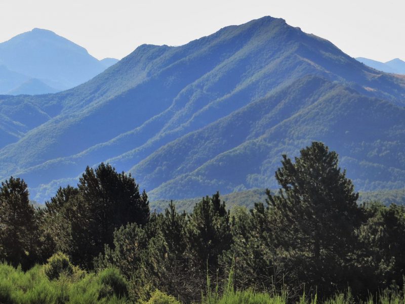 rocabruna-m0ntfalgars-foto