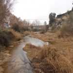 2017-01-12-ARTES-MANRESA-FOTO