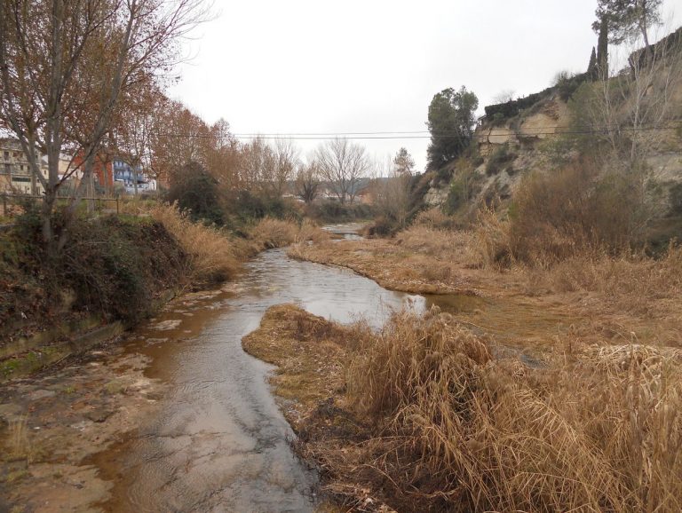 2017-01-12-ARTES-MANRESA-FOTO