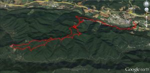 besalu-miana-2-earth