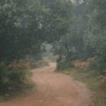 CIRCULAR-TAGAMANENT-foto