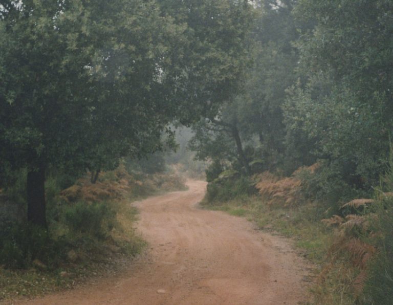 CIRCULAR-TAGAMANENT-foto