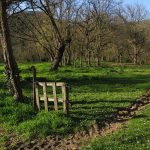 MIRUTA-SANT-JOAN-FOTO