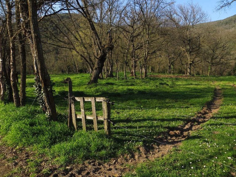 MIRUTA-SANT-JOAN-FOTO