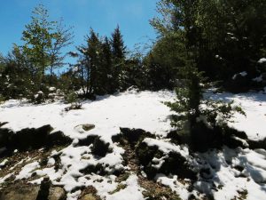 RIDAURA-OFRENA-FOTOS