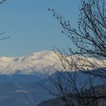 VIDRA-BELLMUNT-MOLI-FOTO