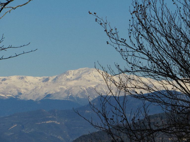 VIDRA-BELLMUNT-MOLI-FOTO