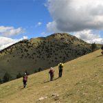 PICADA-EMPERADORA-foto