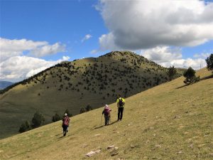 PICADA-EMPERADORA-foto