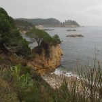 PALAMOS-CAP-ROIG-FOTO