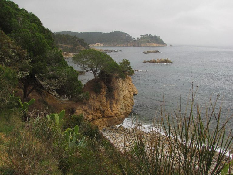PALAMOS-CAP-ROIG-FOTO