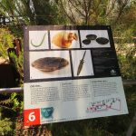 PALAMOS-SEBASTIA-foto-2