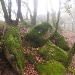 CRESTA-MALFORAT-FOTO