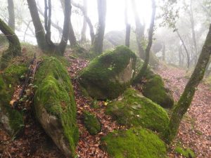 CRESTA-MALFORAT-FOTO