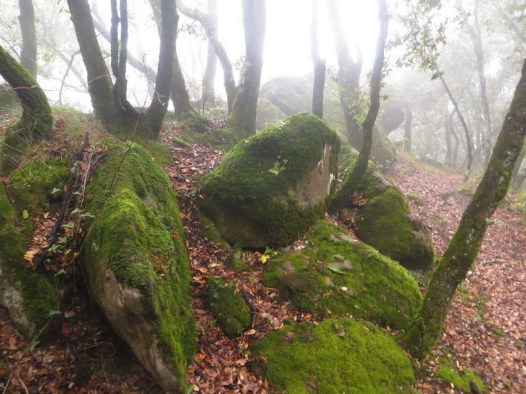 CRESTA-MALFORAT-FOTO