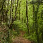 faldeando-finestres-FOTO