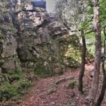 CASTELL-FINESTRES-MEDES-FOTO