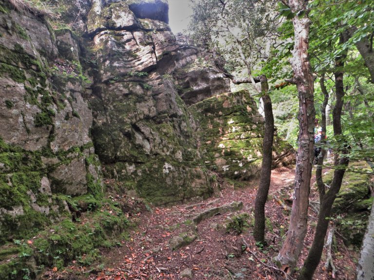 CASTELL-FINESTRES-MEDES-FOTO