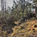 MALFORATVERSION-2-FOTO