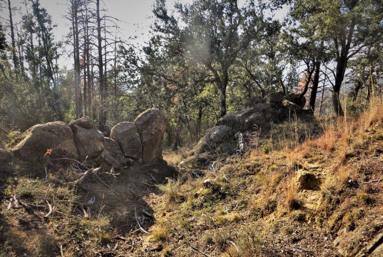 MALFORATVERSION-2-FOTO