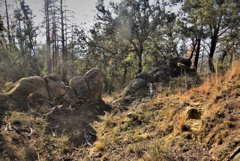 MALFORATVERSION-2-FOTO