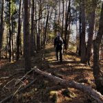 MALFORAT-BERTRAN-foto