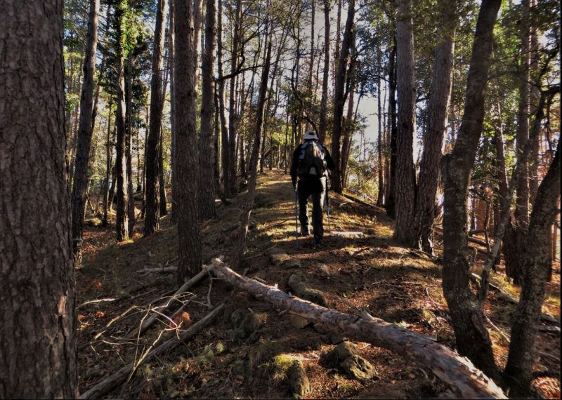 MALFORAT-BERTRAN-foto