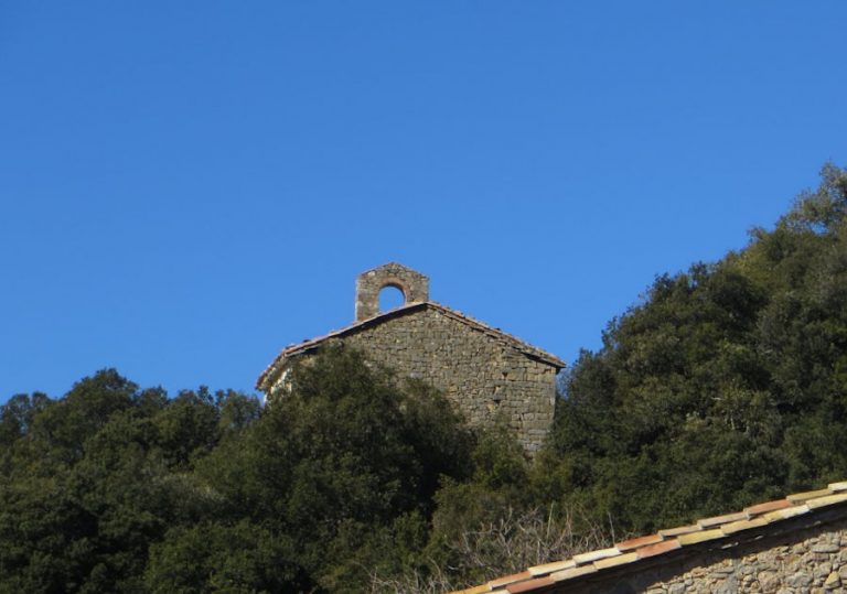 PALERA-COMA-ROURE-FOTO