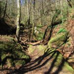 RIUDAURA-SANT-JOAN-FOTO