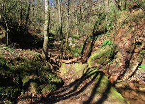 RIUDAURA-SANT-JOAN-FOTO