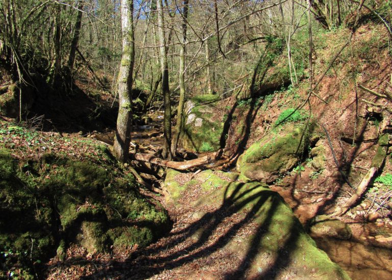 RIUDAURA-SANT-JOAN-FOTO